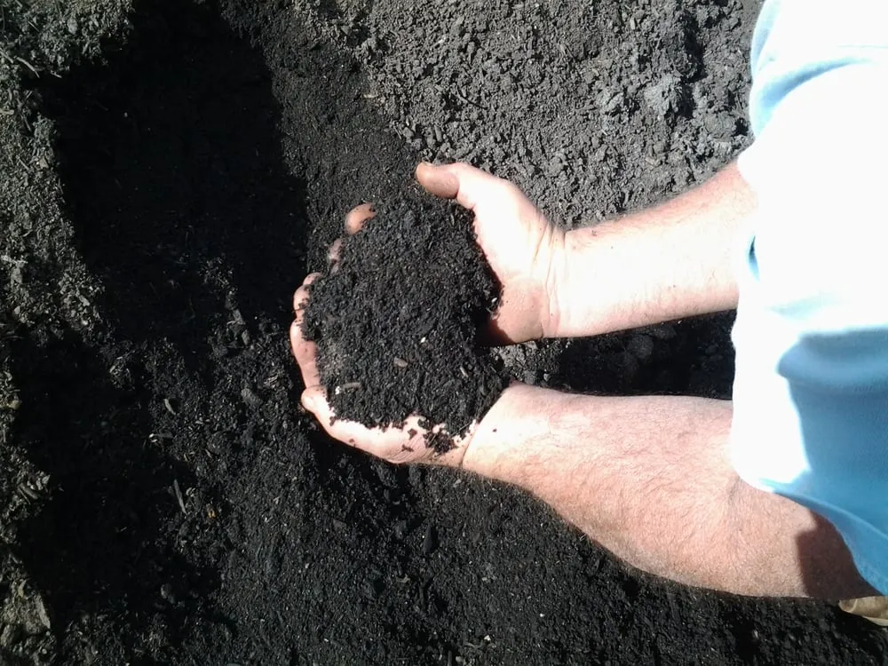 Professional landscape design in Cloverdale, CA - iROC Landscape Supply