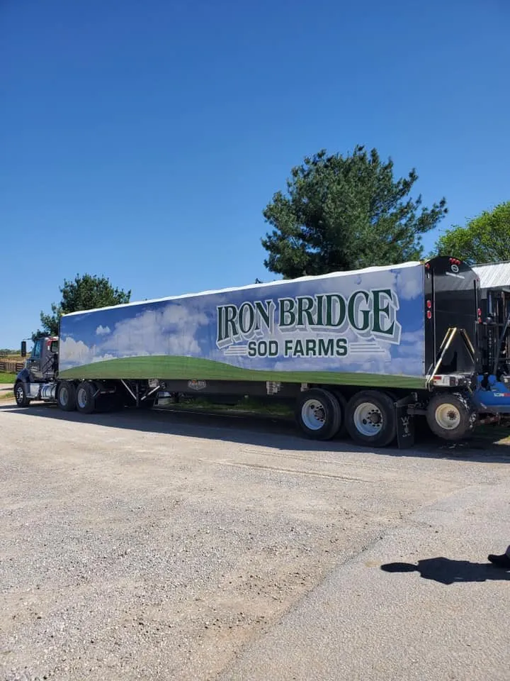 Professional landscaping services for outdoor upgrades in Bowling Green, KY by Iron Bridge Sod Farms
