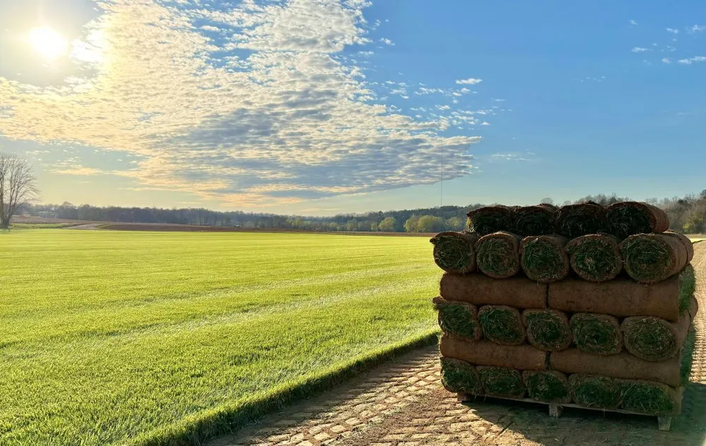 Affordable yard cleanup service in Bowling Green, KY by Iron Bridge Sod Farms