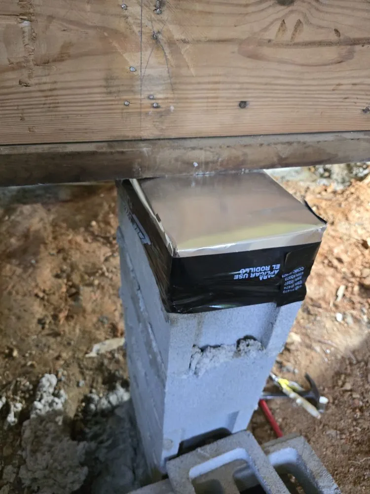 Expert landscaping services for year-round maintenance in Louisburg, NC by iron celt