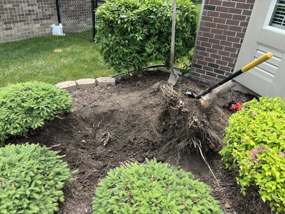 Expert yard cleanup service near you in Taylor, MI by Iron Edge