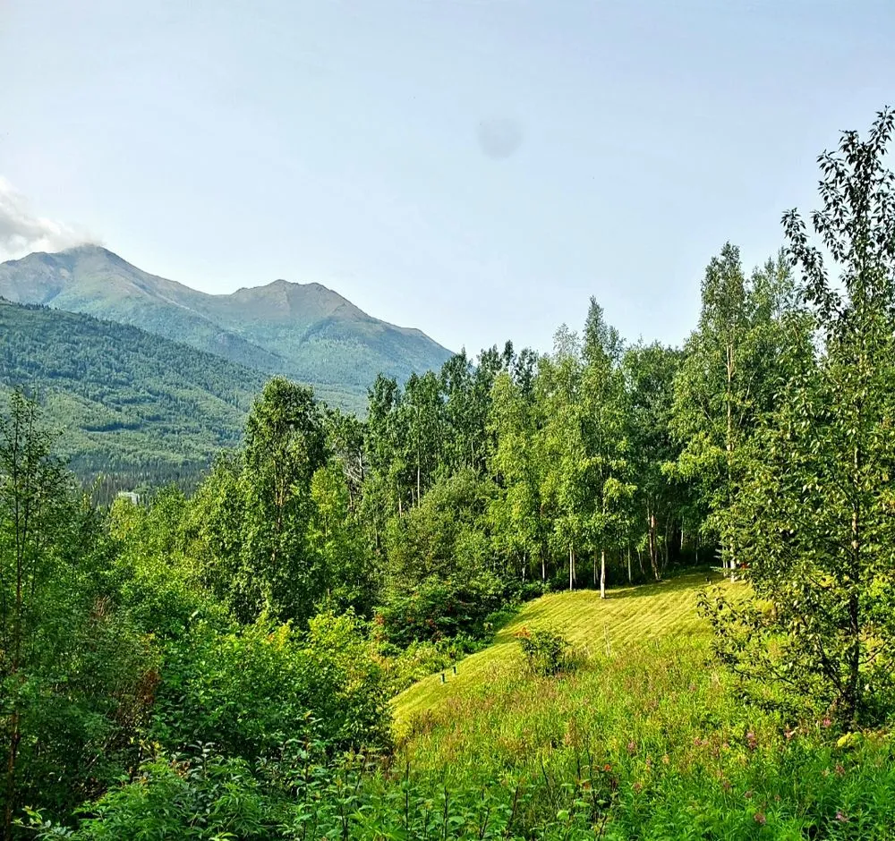 Trusted outdoor landscaping with custom design in Wasilla, AK by Iron Moose Lawn Company