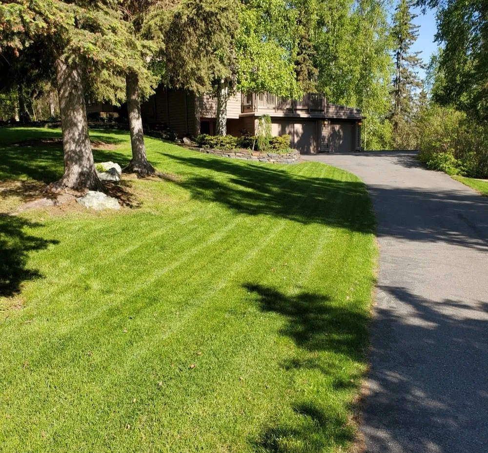 Affordable lawn mowing service in Wasilla, AK by Iron Moose Lawn Company