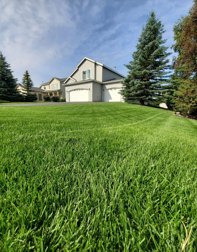 Trusted yard maintenance in Wasilla, AK by Iron Moose Lawn Company