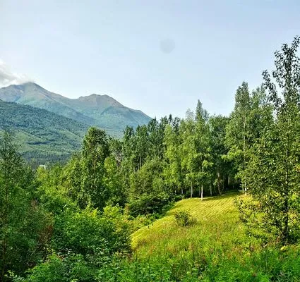 Iron Moose Lawn Company Logo