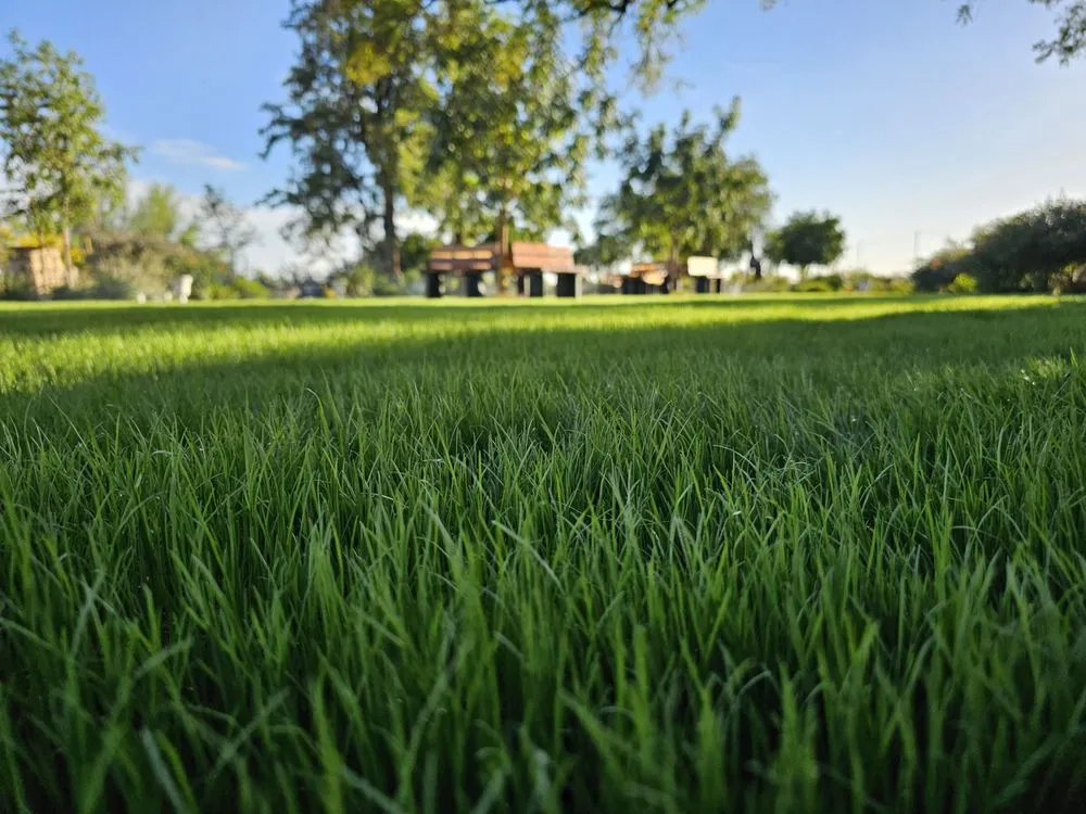 Custom lawn care service for outdoor upgrades across Phoenix, AZ - Iron Mountain Irrigation