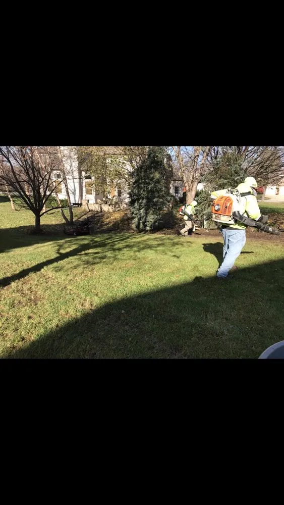 Trusted yard cleanup service in Aurora, IL by Iron Oaks