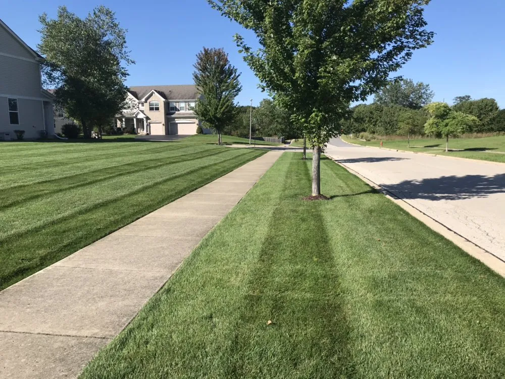 Professional lawn care service for outdoor upgrades in Aurora, IL by Iron Oaks