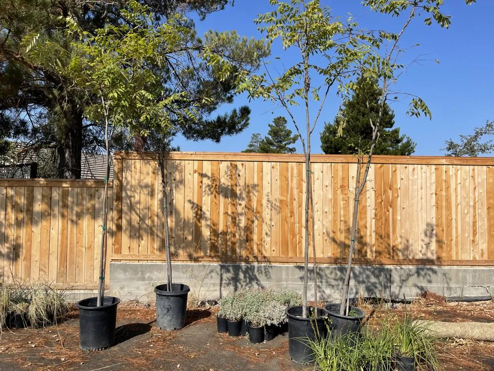 Affordable lawn care service in Montgomery, AL - Iron Rock Creations