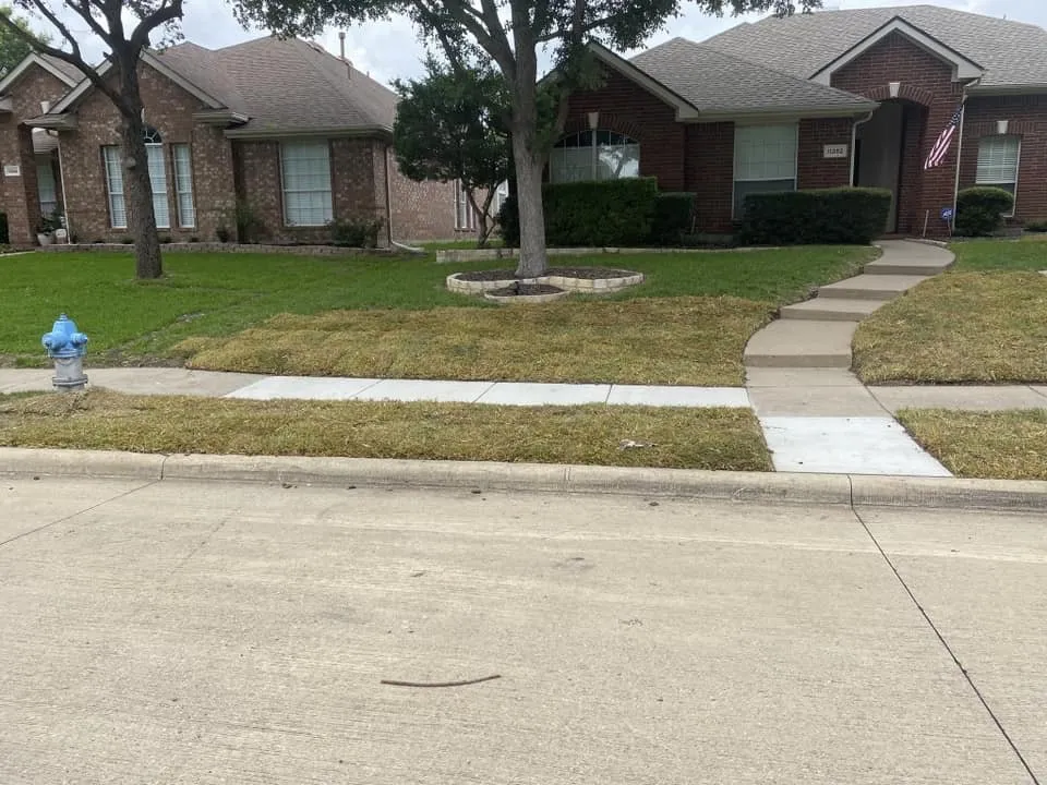 Expert residential landscaping experts serving Andalusia, AL - Iron Rose Land Services