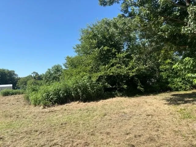 Professional lawn mowing service in Edgewood, TX by Iron Side Properties