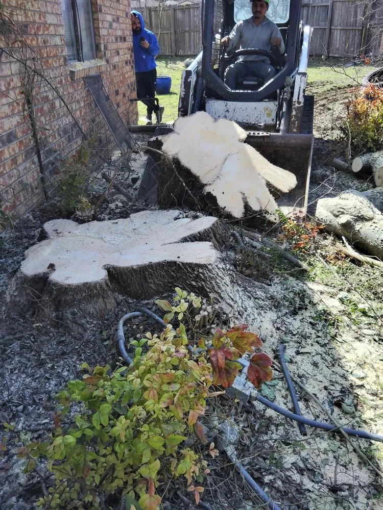 Trusted outdoor landscaping for year-round maintenance in Edgewood, TX by Iron Side Properties