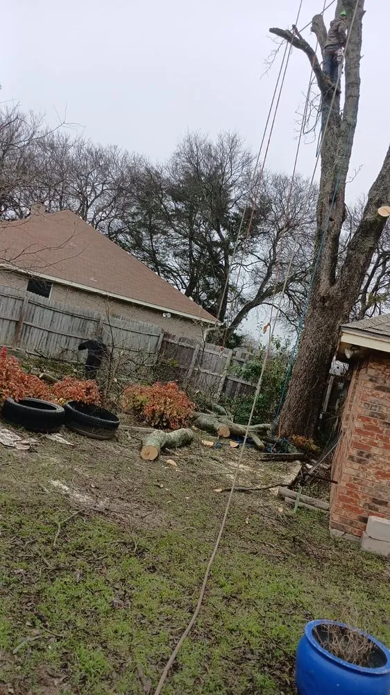 Reliable residential landscaping experts serving Edgewood, TX - Iron Side Properties