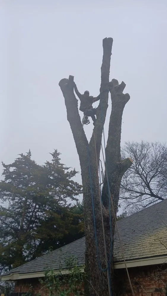 Expert outdoor landscaping in Edgewood, TX by Iron Side Properties