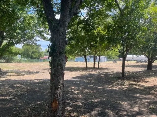 Expert garden landscaping experts serving Edgewood, TX - Iron Side Properties