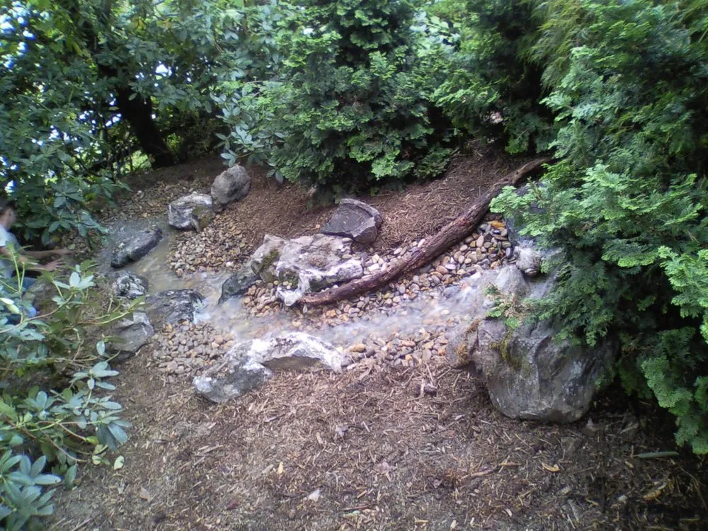 Top-rated landscaping services for beautiful yards across Canton, NC - Iron Tree Landscaping & Maintenance