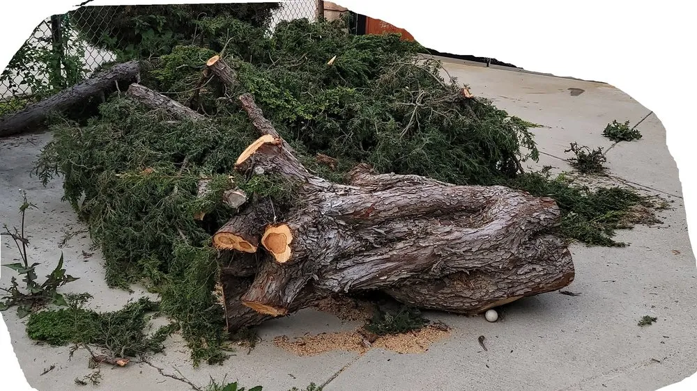 Reliable garden landscaping near you across Fountain Valley, CA - Iron Tree Service