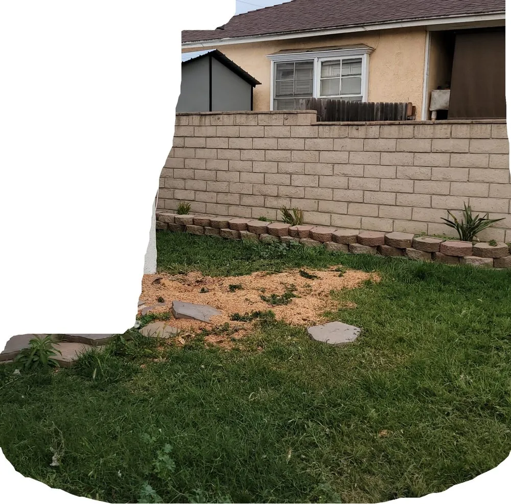 Reliable landscaping services for beautiful yards across Fountain Valley, CA - Iron Tree Service