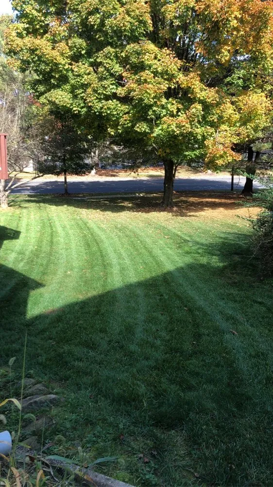 Affordable landscape design for beautiful yards in Blandon, PA by Iron Valley Contracting