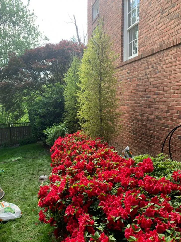 Reliable landscaping services for homes across Alexandria, VA - Iron Will Landscaping