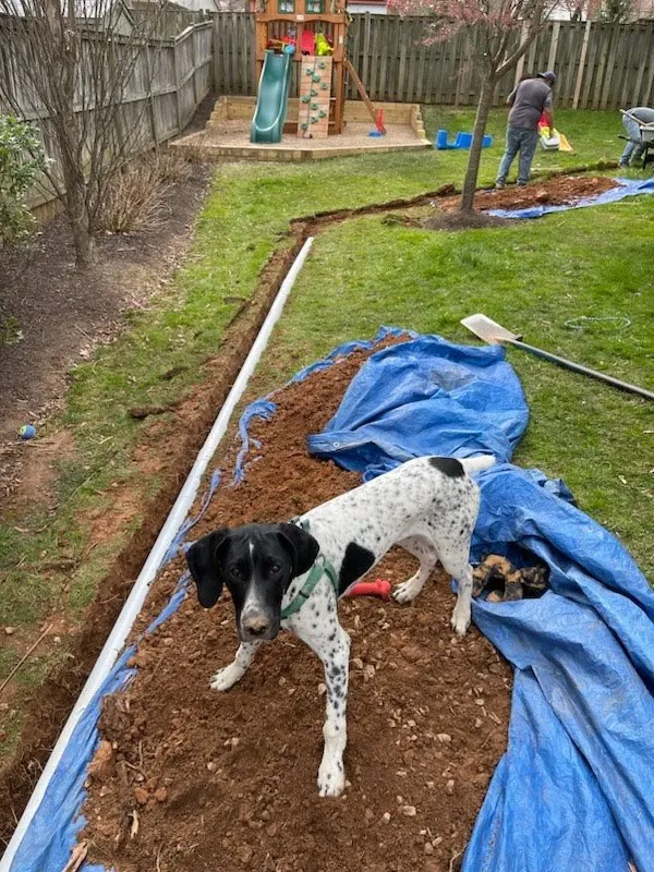 Professional residential landscaping in Alexandria, VA - Iron Will Landscaping