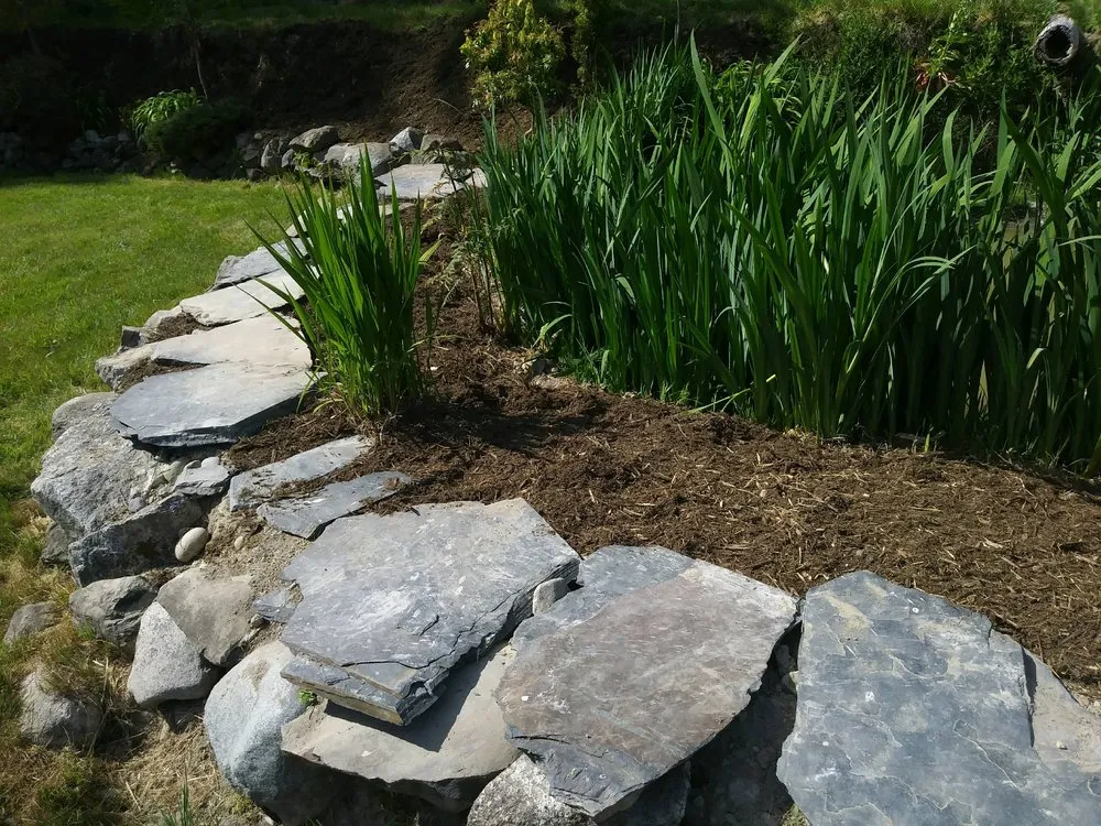 Professional garden landscaping for beautiful yards across Olympia, WA - Iron wolf landscaping