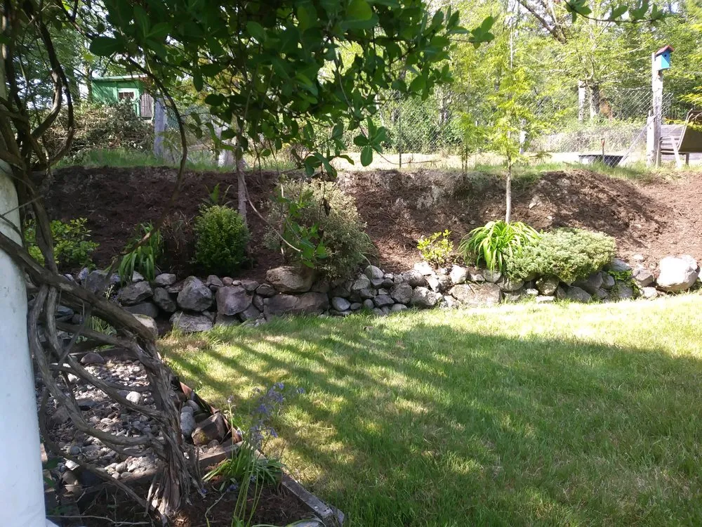 Professional landscaping services for year-round maintenance across Olympia, WA - Iron wolf landscaping