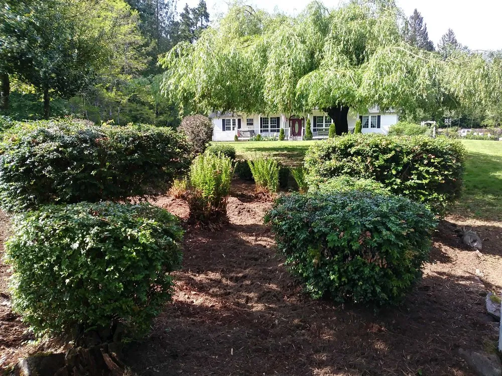 Affordable landscape installation experts serving Olympia, WA - Iron wolf landscaping