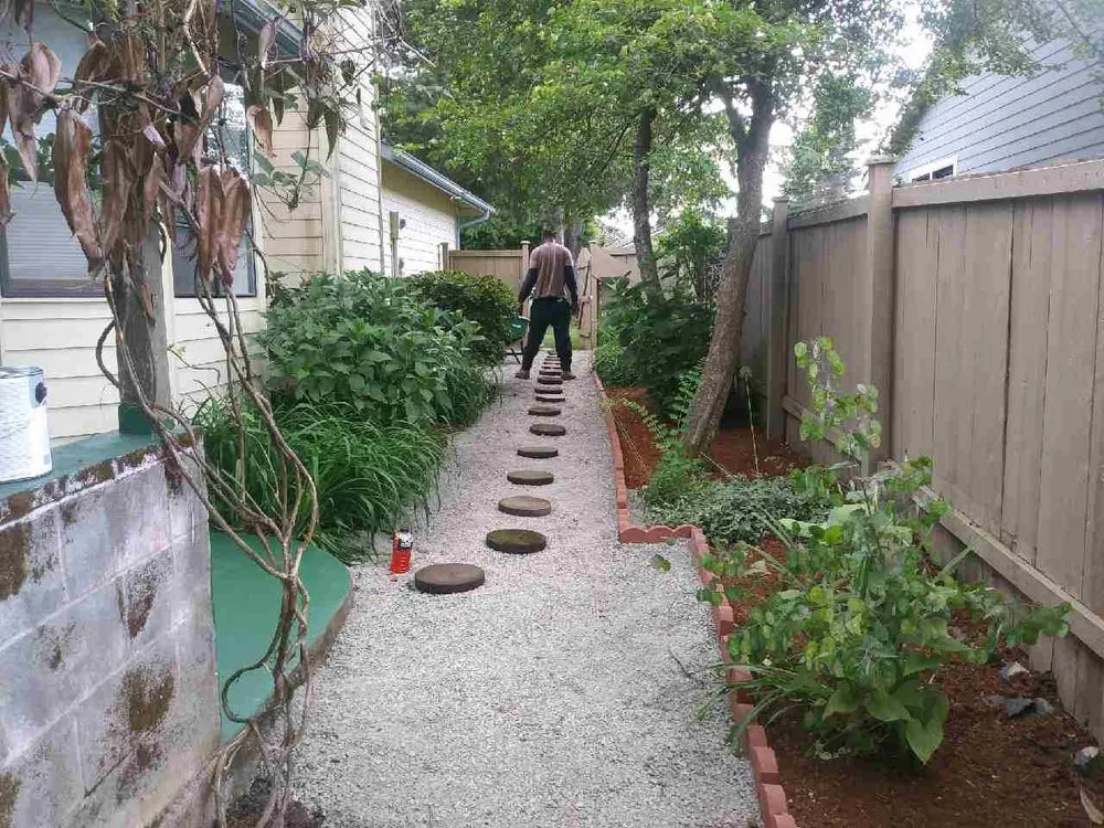 Top-rated yard cleanup service in Olympia, WA by Iron wolf landscaping