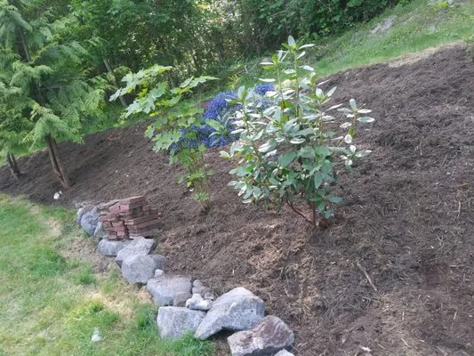 Iron wolf landscaping Logo