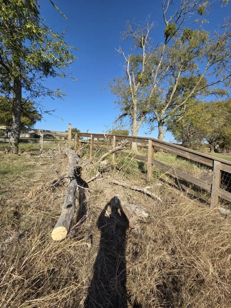 Custom yard maintenance in Corinth, TX - IronClad Clearing & Hauling