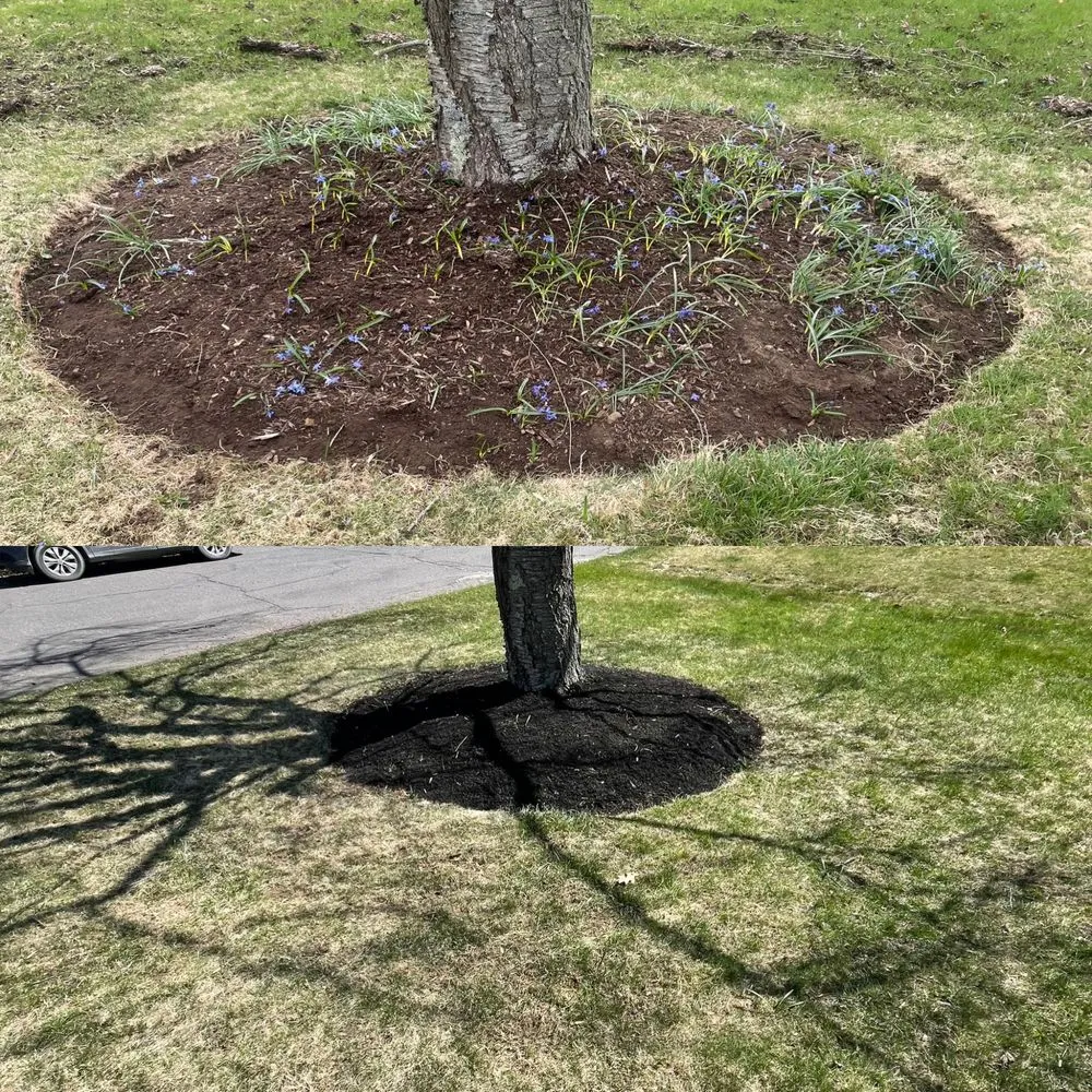 Custom landscape design for outdoor upgrades in Trumbull, CT by IronGate Landscaping