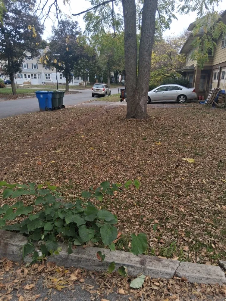 Custom landscaping services near you across Rochester, NY - IronHaven Enterprises