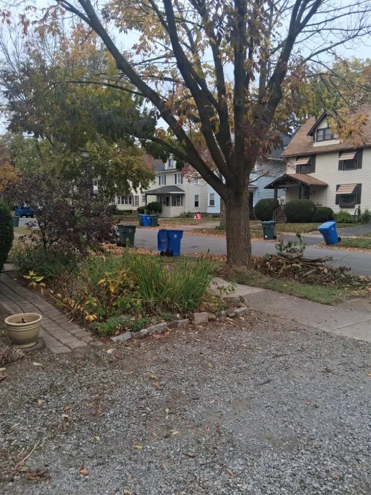 Affordable yard cleanup service in Rochester, NY - IronHaven Enterprises