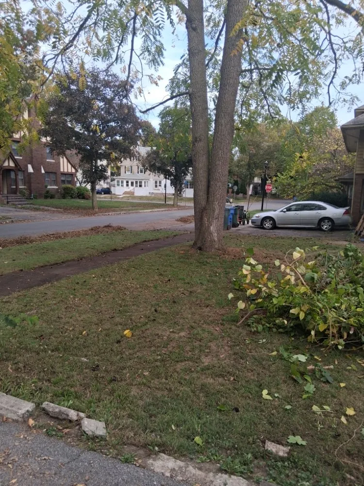 Local yard cleanup service for outdoor upgrades across Rochester, NY - IronHaven Enterprises