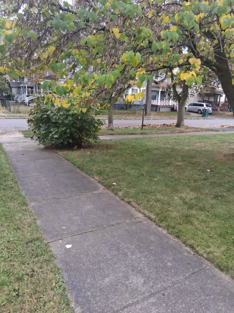 Trusted landscape installation experts serving Rochester, NY - IronHaven Enterprises