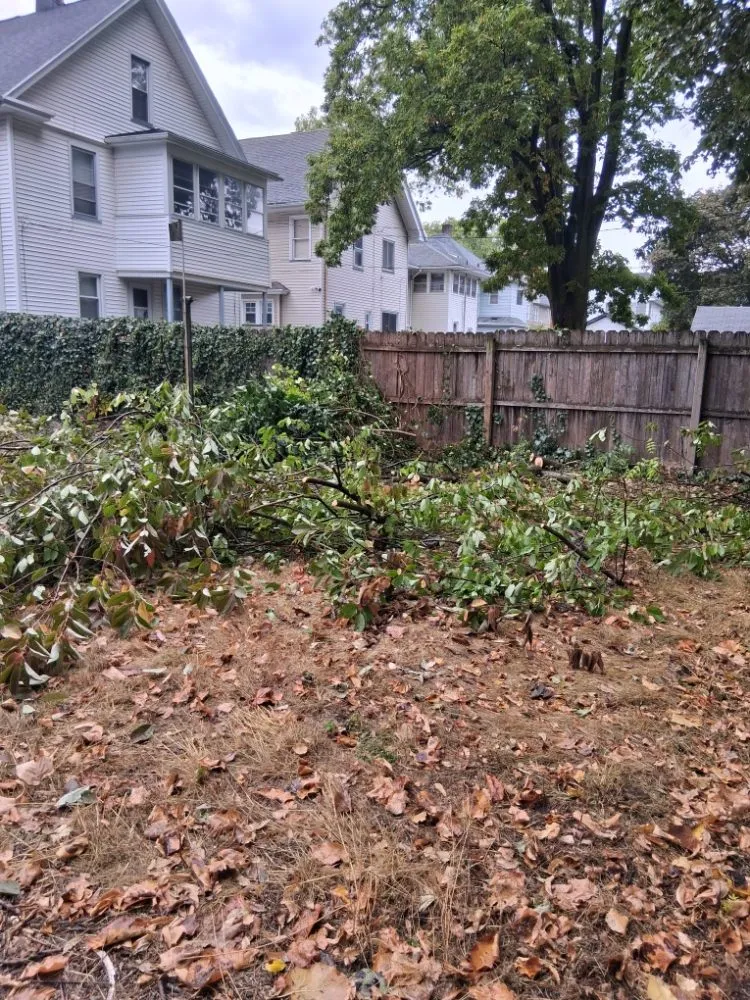 Top-rated residential landscaping in Rochester, NY - IronHaven Enterprises