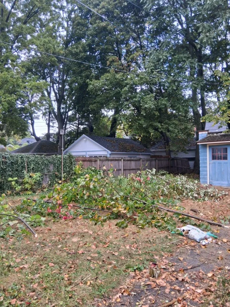 Professional yard maintenance in Rochester, NY by IronHaven Enterprises