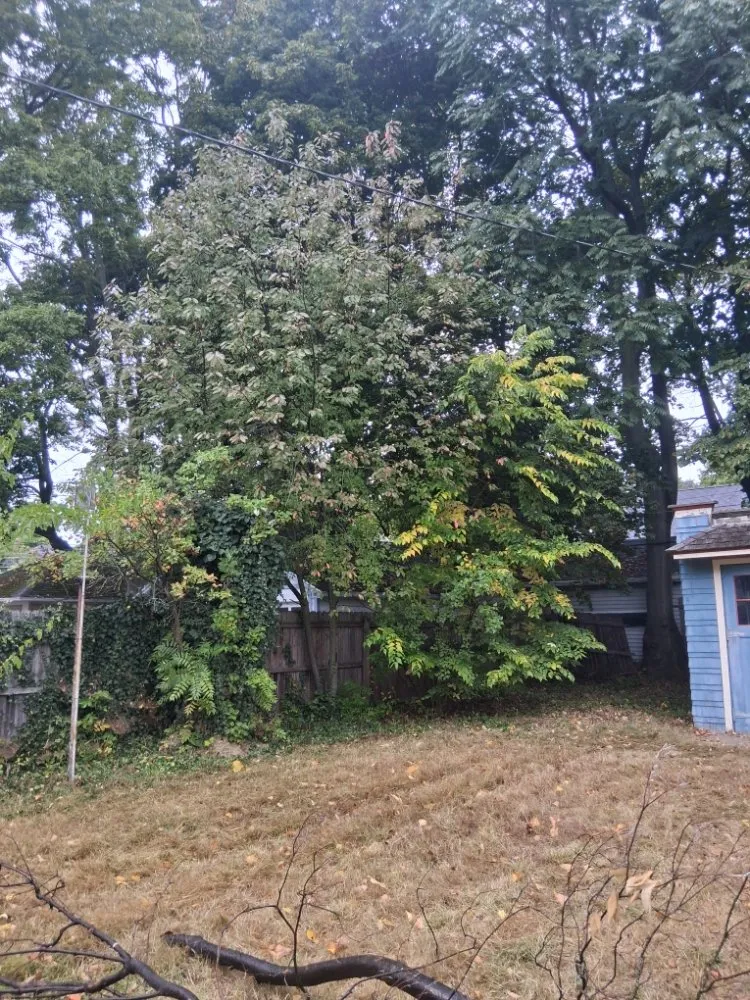 Affordable landscape installation near you in Rochester, NY by IronHaven Enterprises