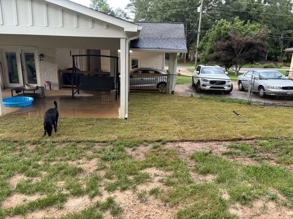 Top-rated yard cleanup service in White, GA - Ironroot Landscaping