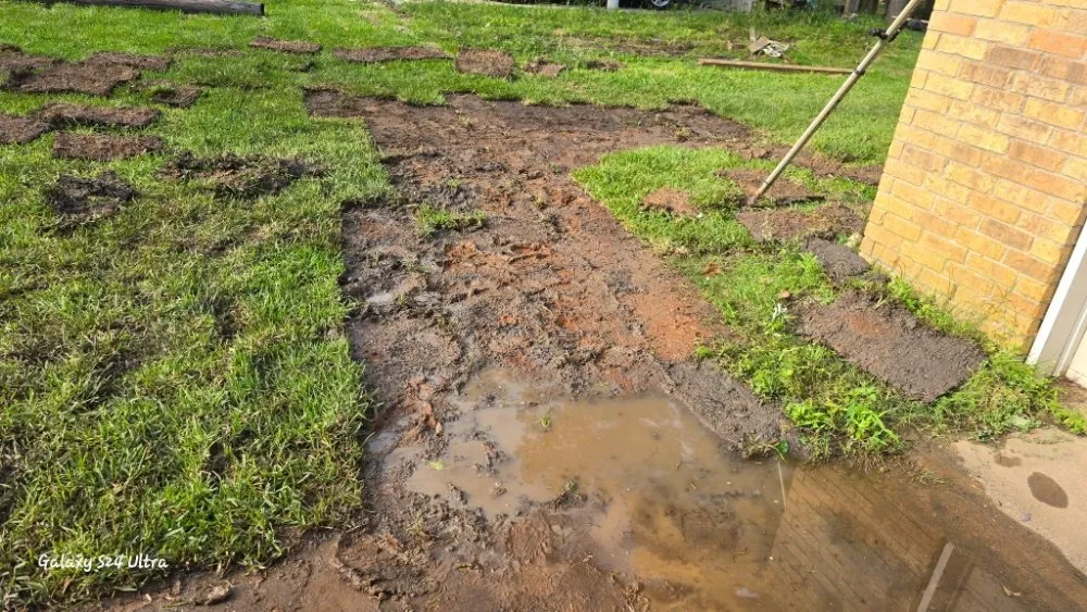 Expert yard cleanup service experts serving Nacogdoches, TX - IronRoot Outdoor Services