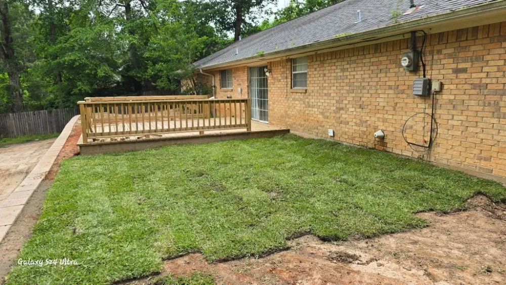 Expert yard cleanup service in Nacogdoches, TX - IronRoot Outdoor Services