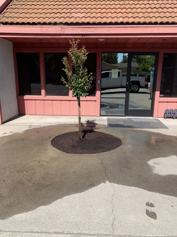 Top-rated residential landscaping for residential properties across Patterson, CA - Ironstone Landscape and Maintenance