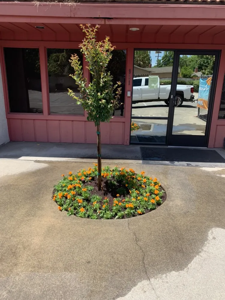 Professional yard maintenance for beautiful yards across Patterson, CA - Ironstone Landscape and Maintenance