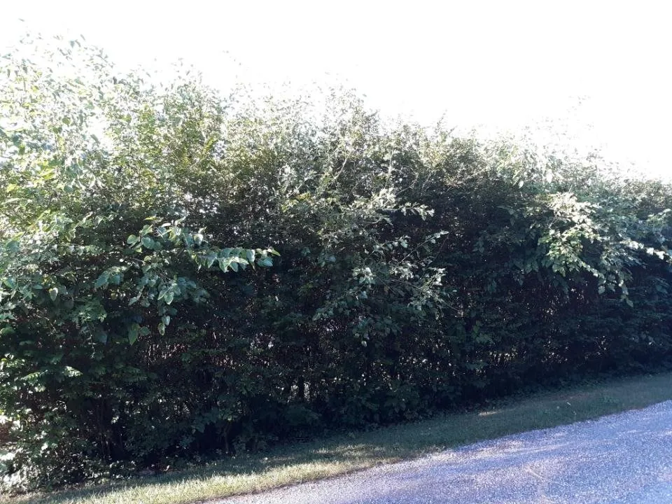 Top-rated landscape design in York, PA - Ironstone Landscaping and Property Management