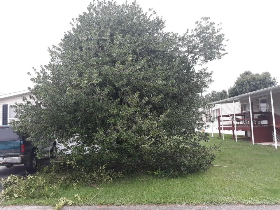 Local landscape design for residential properties in York, PA by Ironstone Landscaping and Property Management