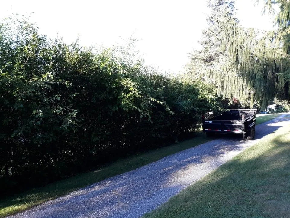 Custom yard cleanup service in York, PA by Ironstone Landscaping and Property Management