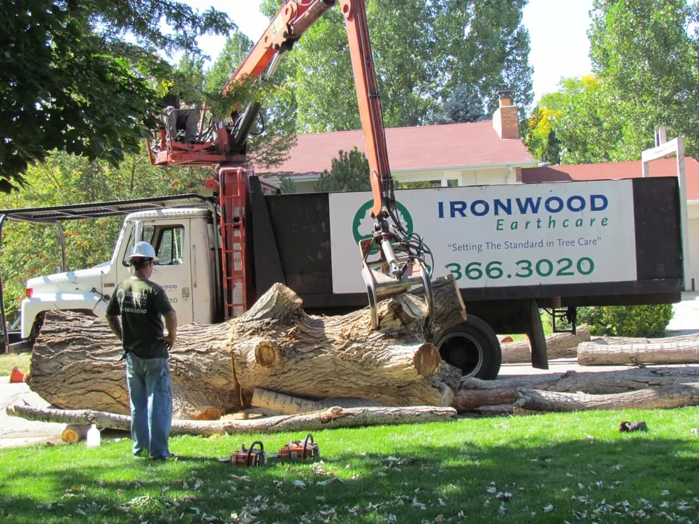 Custom lawn mowing service for beautiful yards in Aurora, CO by Ironwood Earthcare