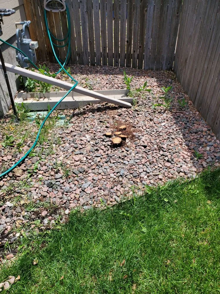 Professional landscaping services experts serving Aurora, CO - Ironwood Earthcare