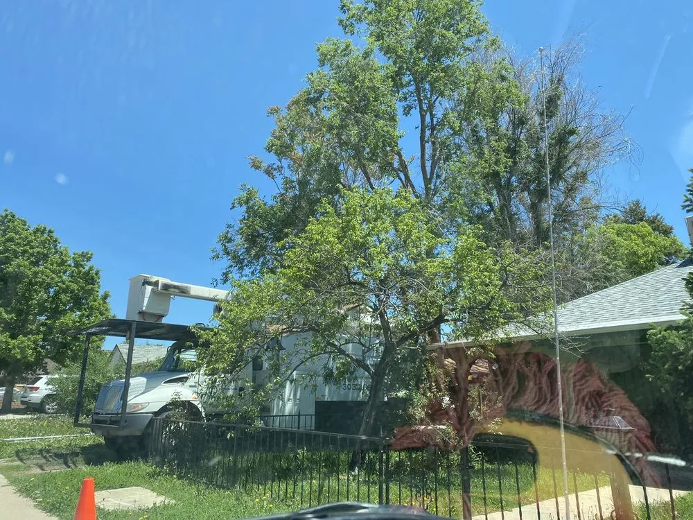 Custom lawn mowing service in Aurora, CO - Ironwood Earthcare